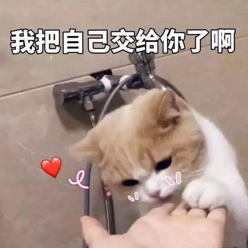 太真实了滕州人现状,我不信你没有