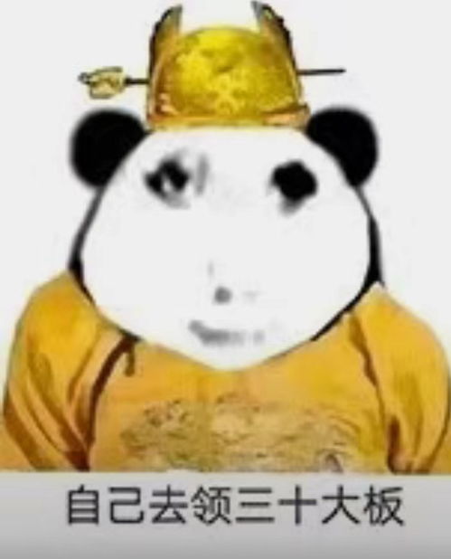 龙女士表情包什么梗动物