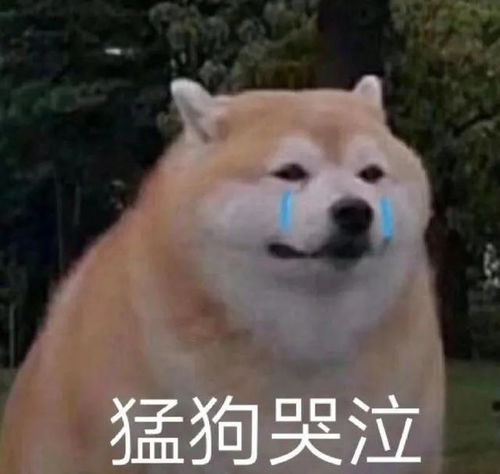 这部剧的甜度超标