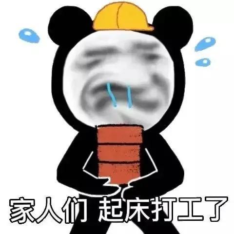 搞笑表情包我的家庭条件你也知道