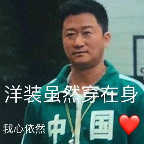 tm的烦死了表情包吴京