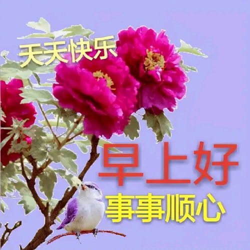 生命就是一杯清茶