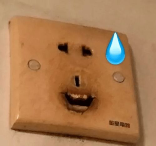 搞笑表情包i闺蜜素颜的样子