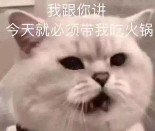 搞笑表情包拿图片我这几千块的手机,都不响一下