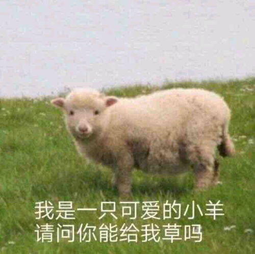 你有哪些又污又可爱的表情包