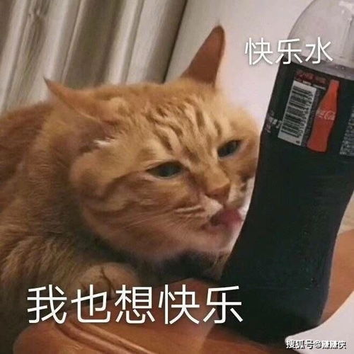 搞笑表情包图片每天起床第一句,先给自己打个气
