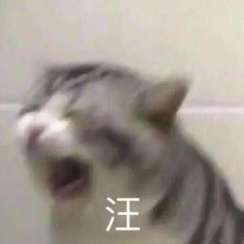 听说你们南方人都骑大蟑螂上学,真的吗