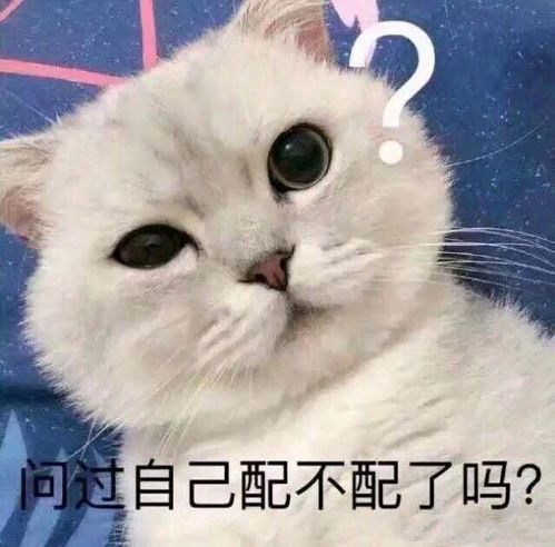 轻松一刻找对象去日本,日本妹子喜欢有趣的灵魂