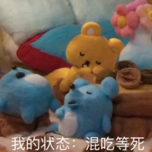 白天有说有笑,晚上睡个好觉