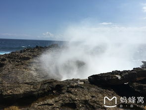 梦幻巴厘岛