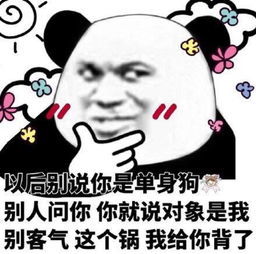 熊猫演我那约不出门的i人朋友了不起的朋友拍摄熊猫名场面靠时间积累丨揭秘