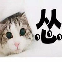 表情包乖表情包