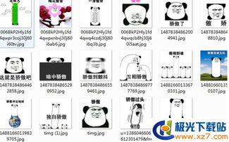 骄傲了系列表情包下载骄傲了系列表情包高清无水印极光下载站