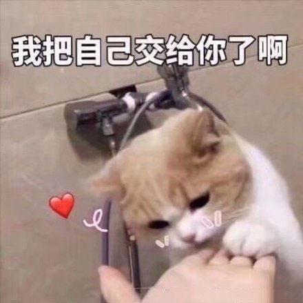 我们在一起吧表情包一起