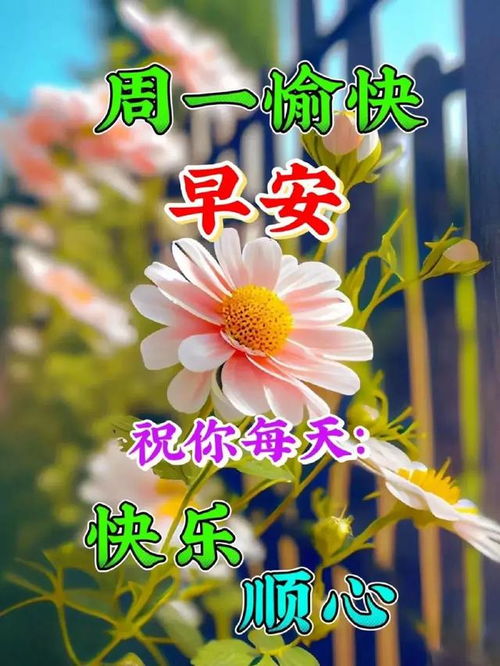 2024年6月24日最新早上好图片送好友早安问候图片
