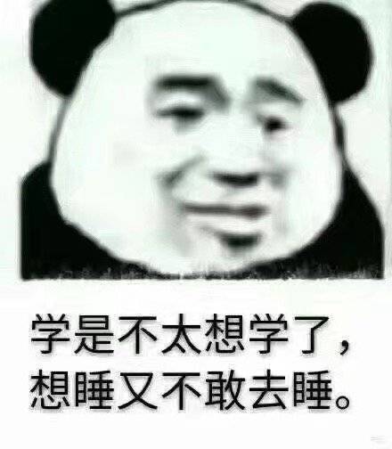 学是不太想学了,想睡又不敢去睡熊猫头学是不太想学了熊猫不敢表情