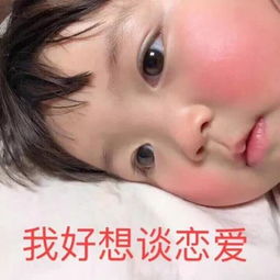 今日份表情包