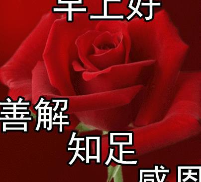 6月夏天早上好表情动态鲜花图片大全问候语早上好表情动态2020