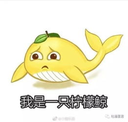 男朋友买了一套房让我练手md别人家的男朋友真的看酸了...