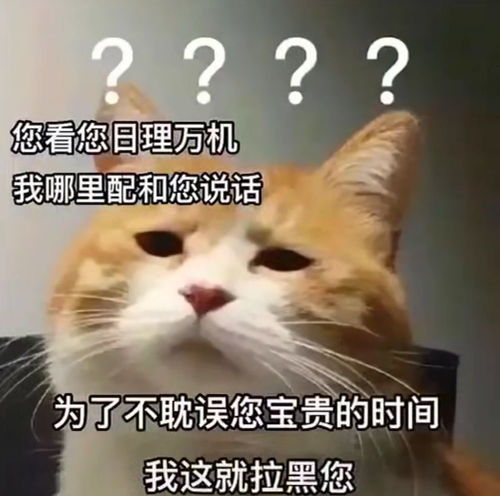 适合发给你男朋友的套路表情包