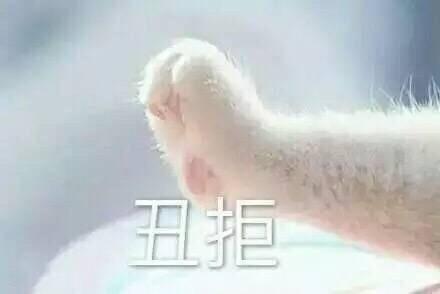 作为女生,你怎么能不来收这波表情包可爱又撩人,女生专用哦