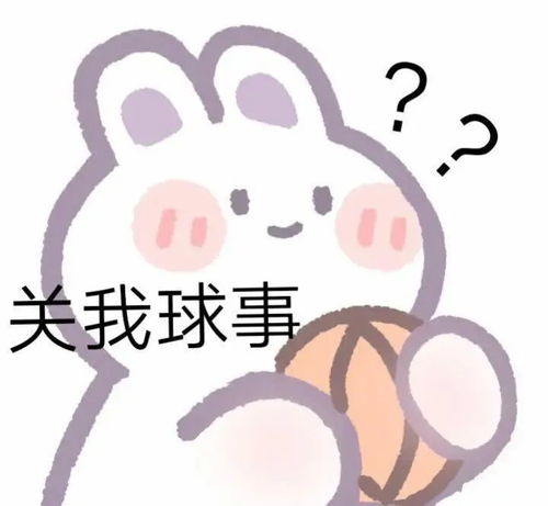 表情包聊天对话必备