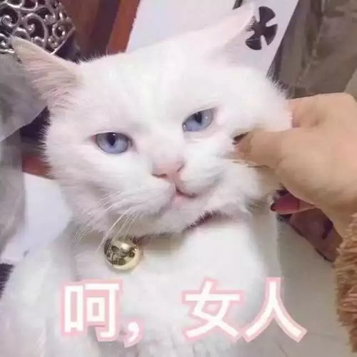 别买穆勒鞋了现在这双最流行