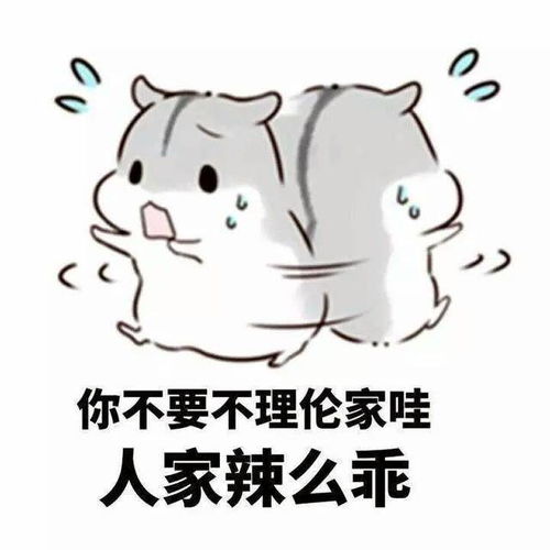 斗图丨仓鼠情侣表情包