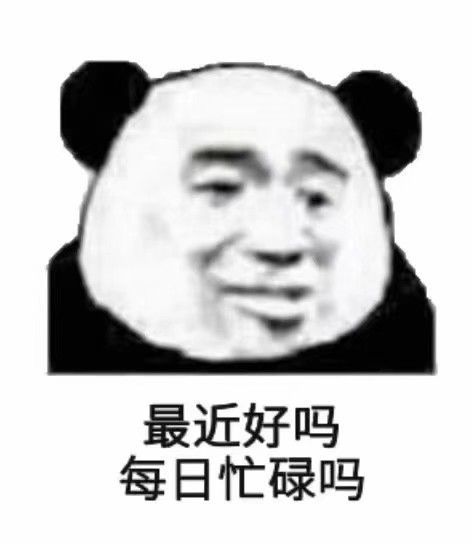 你还在等什么表情包图熊猫
