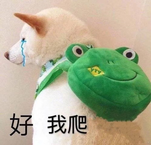 躺在床上月入1万后,差点被我爸赶出家门哈哈哈哈