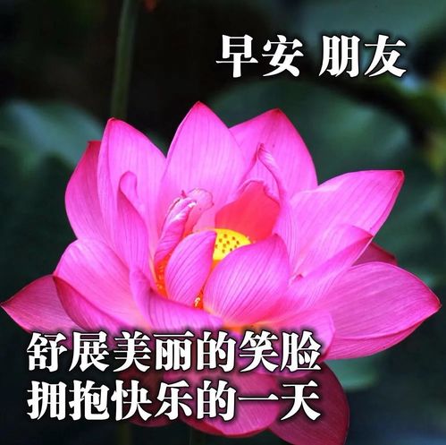 早上好最新表情图片问候