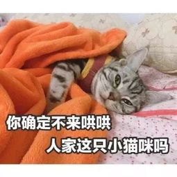 怎么让男女朋友不经意地看到这篇文章