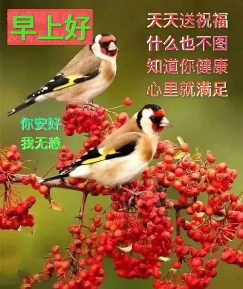 早上好动图表情2021年最新版早上好动图表情包微信