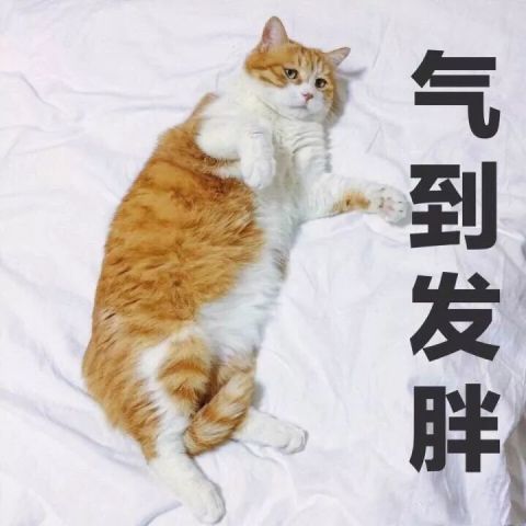 馋的表情包图片互相伤害