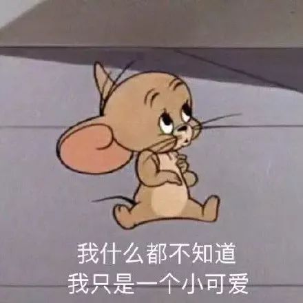 杰瑞鼠可爱表情包