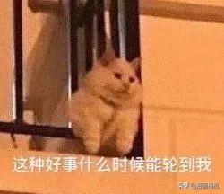 表情包我能有多骄傲,敲敲键盘打嘴泡