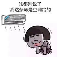 吹空调吃西瓜表情包