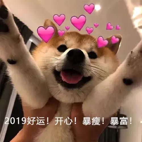 猥琐萌小表情包略略略