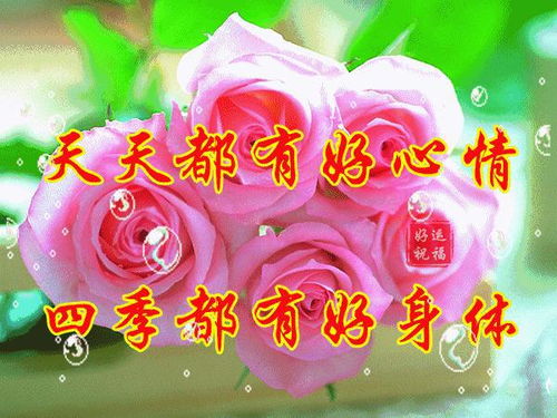 7张早上好友情动态祝福图片带字表情问候图片,适合群发好友幸福快乐早安祝福表情包