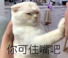 你的卫生巾上黑名单了吗