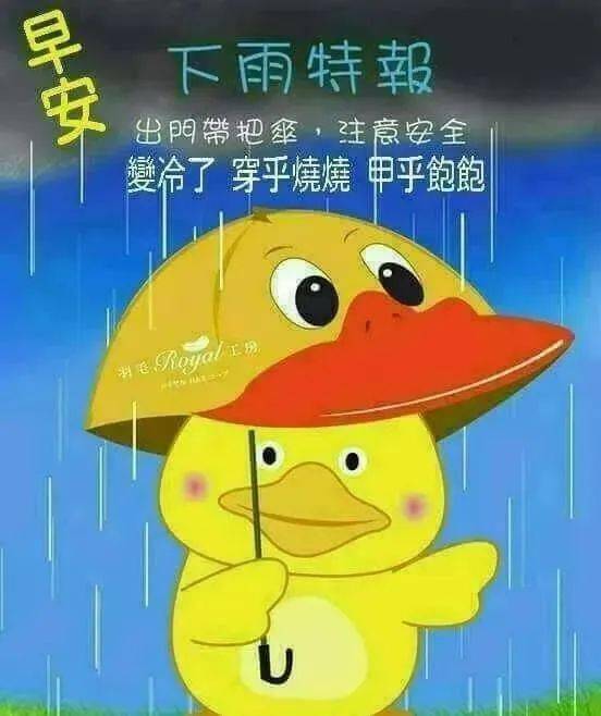 中老年表情包,下雨天早安带文字的图片,出门带伞注意安全