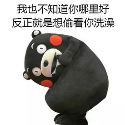 师大也有那年花开月正圆中的各系男友还不快来领走