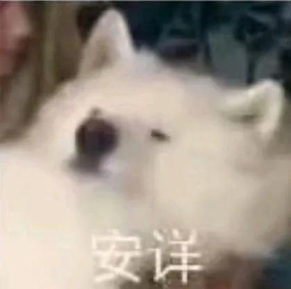 露营治不好城市病