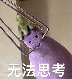 请问是npy杠精还是我想多了