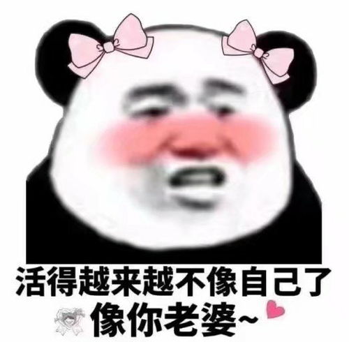 你头像和我老婆好像以后你就是我老婆了
