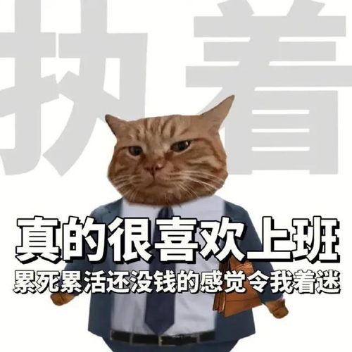 猫咪早安表情包打工