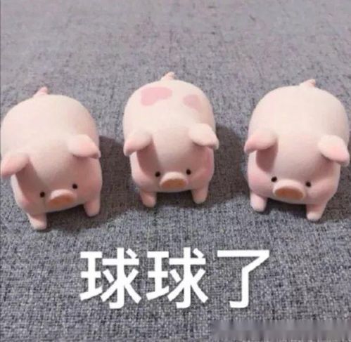 高速上哪条车道最安全过年回家就这么走