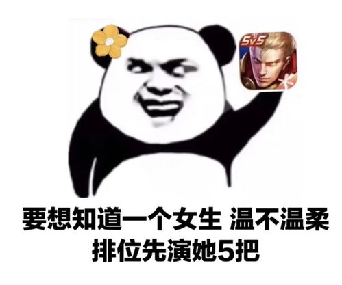 微信沙雕表情包要想知道一个女生温不温柔,排位先演她5把