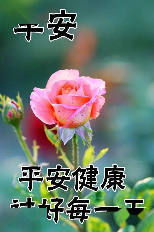 1月26日最漂亮早上好动态表情图片大全,早晨好动图美图大全