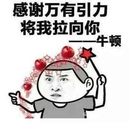表白表情包